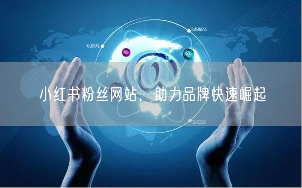 小红书粉丝网站，助力品牌快速崛起