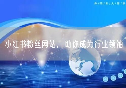 小红书粉丝网站，助你成为行业领袖