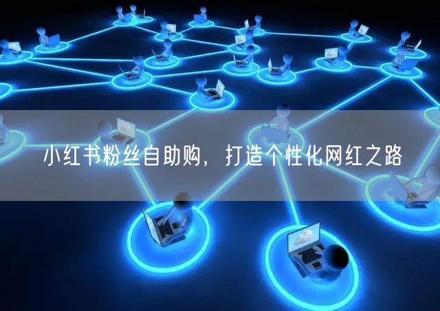 小红书粉丝自助购，打造个性化网红之路