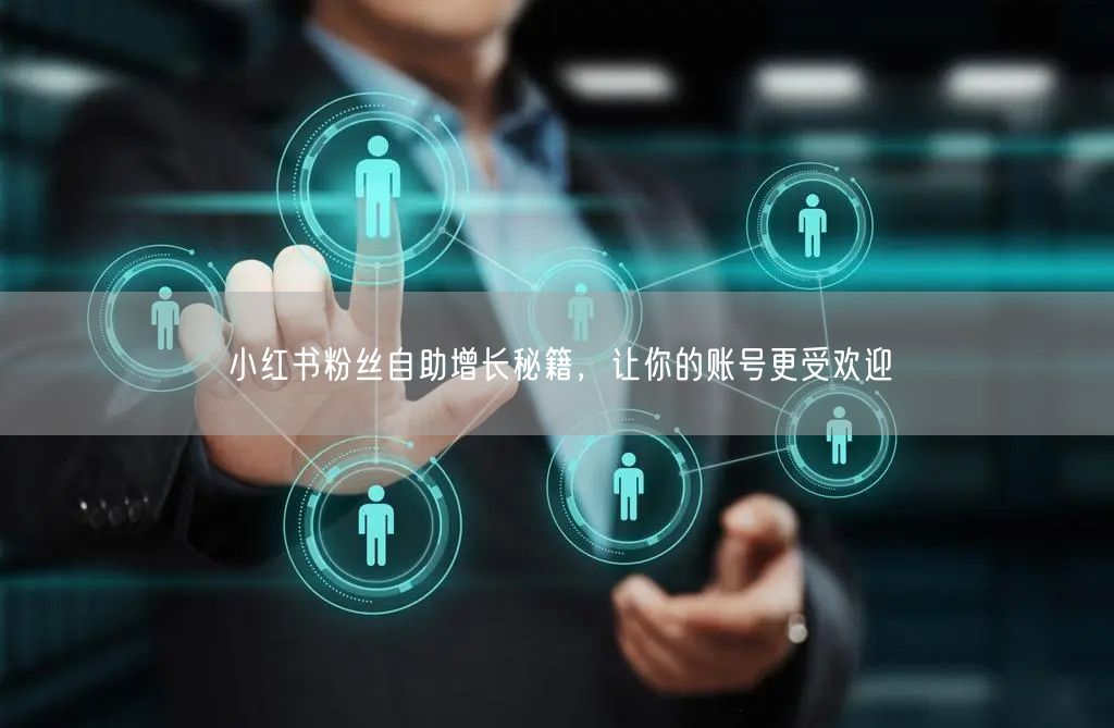 小红书粉丝自助增长秘籍，让你的账号更受欢迎