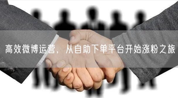 高效微博运营，从自助下单平台开始涨粉之旅