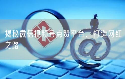 揭秘微信视频号点赞平台，打造网红之路