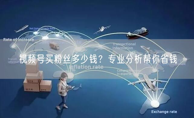 视频号买粉丝多少钱？专业分析帮你省钱