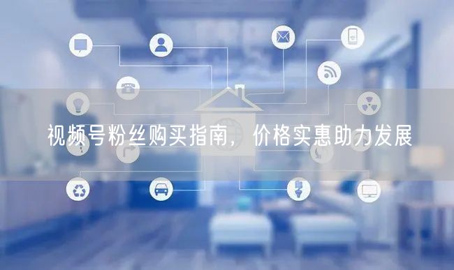 视频号粉丝购买指南，价格实惠助力发展