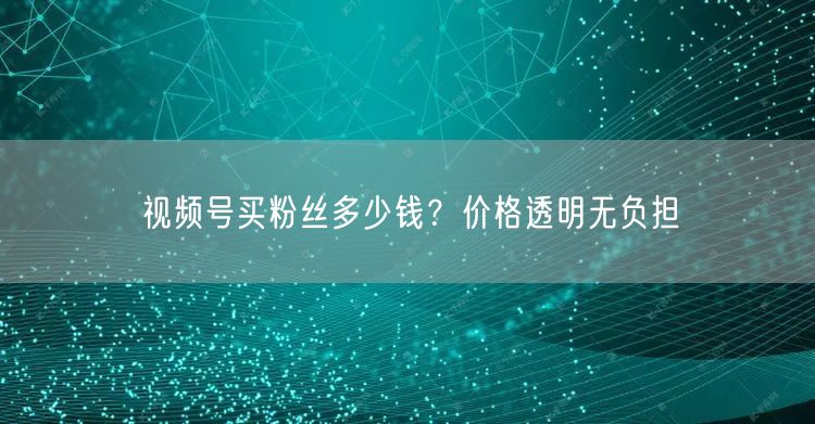 视频号买粉丝多少钱？价格透明无负担