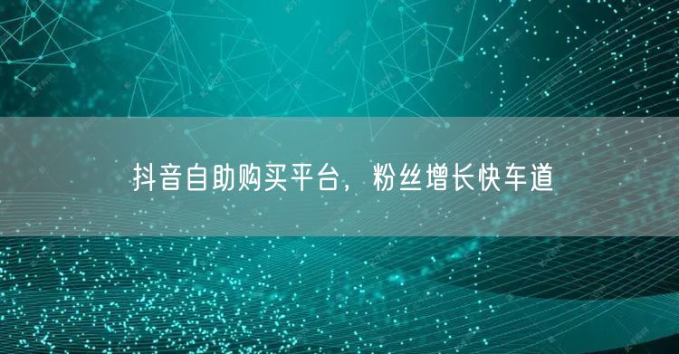 抖音自助购买平台，粉丝增长快车道