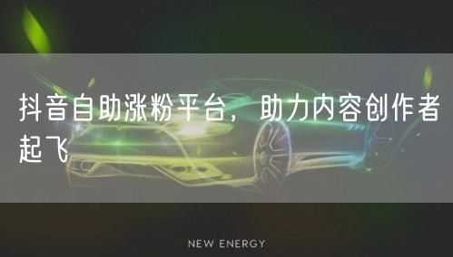 抖音自助涨粉平台，助力内容创作者起飞