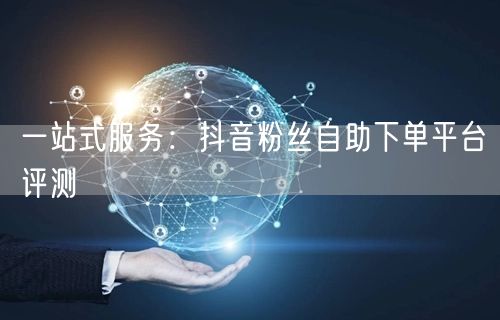 一站式服务：抖音粉丝自助下单平台评测