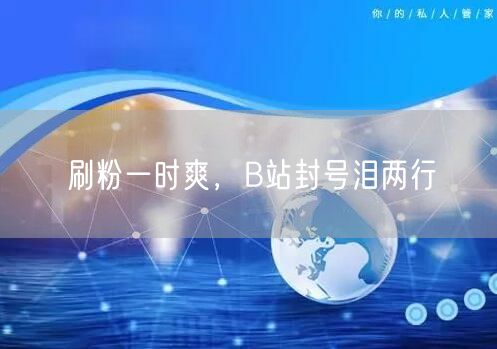 刷粉一时爽，B站封号泪两行