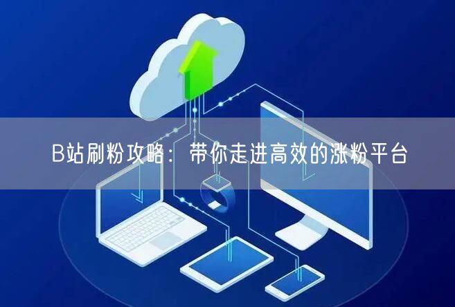 B站刷粉攻略：带你走进高效的涨粉平台