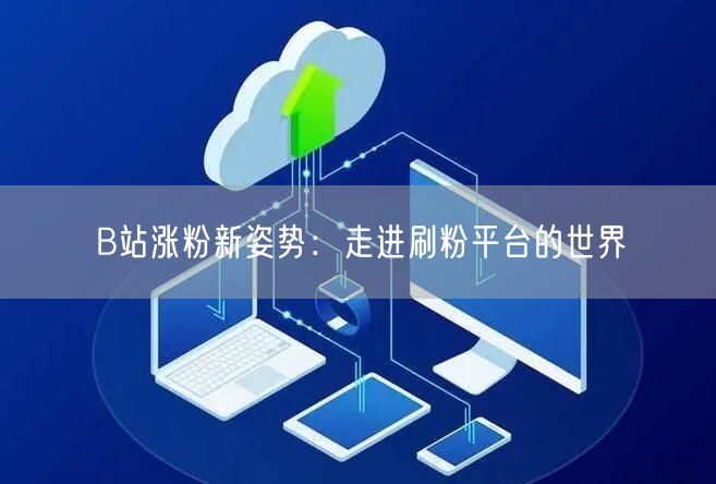 B站涨粉新姿势：走进刷粉平台的世界