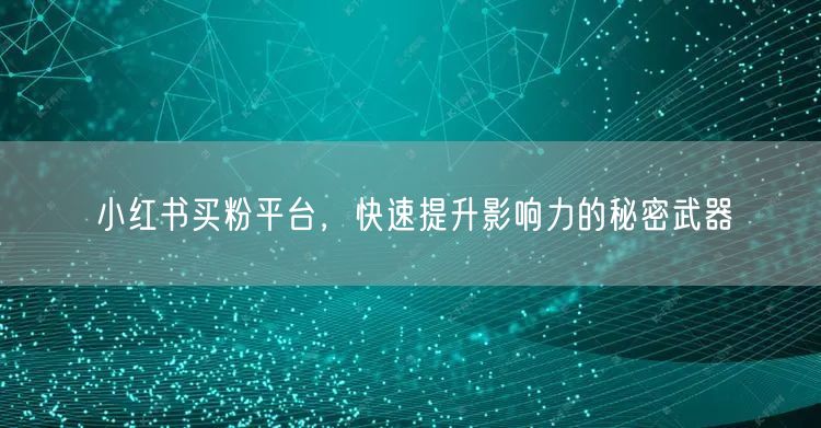小红书买粉平台，快速提升影响力的秘密武器