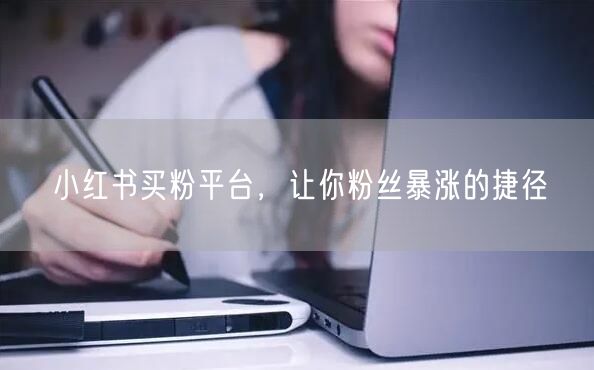 小红书买粉平台，让你粉丝暴涨的捷径