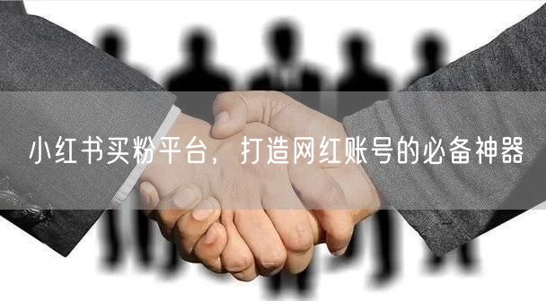 小红书买粉平台，打造网红账号的必备神器