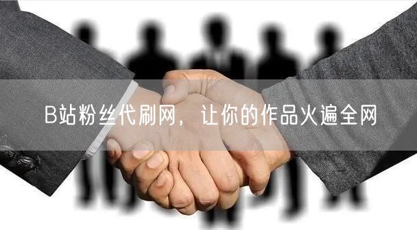 B站粉丝代刷网，让你的作品火遍全网