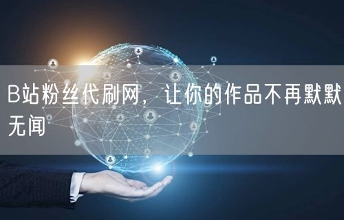 B站粉丝代刷网，让你的作品不再默默无闻