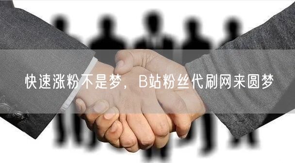 快速涨粉不是梦，B站粉丝代刷网来圆梦
